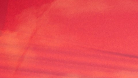 Los colores de autos conservan un código exacto del tono usado.