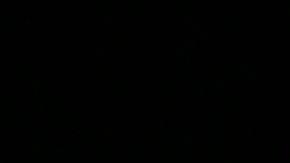 leer informe en carfax