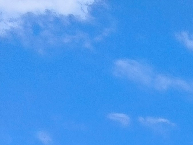 vehículos todo terreno