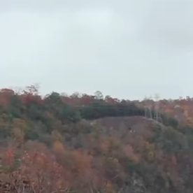 Dodge Charger Scat Pack 2026 vuelve la gasolina a los muscle car.