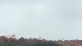 Dodge Charger Scat Pack 2026 vuelve la gasolina a los muscle car.