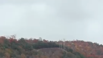 Dodge Charger Scat Pack 2026 vuelve la gasolina a los muscle car.