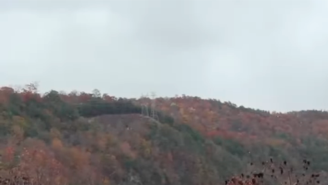 Dodge Charger Scat Pack 2026 vuelve la gasolina a los muscle car.