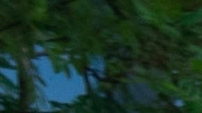 transportar equipo deportivo sobre el auto