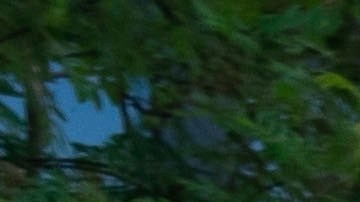 transportar equipo deportivo sobre el auto