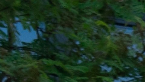 transportar equipo deportivo sobre el auto