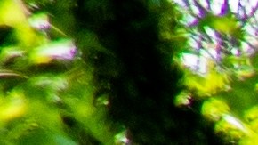 áreas verdes sin estacionamiento