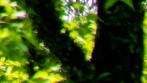 áreas verdes sin estacionamiento