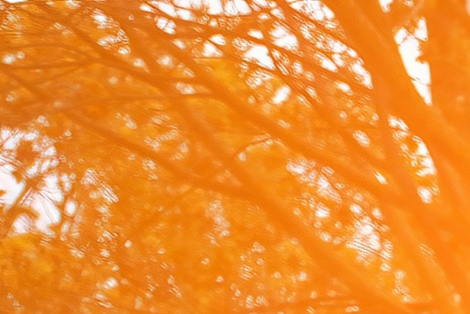 estacionamiento en áreas recreativas