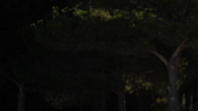 Genesis GV60 Magma presenta una conducción deportiva.