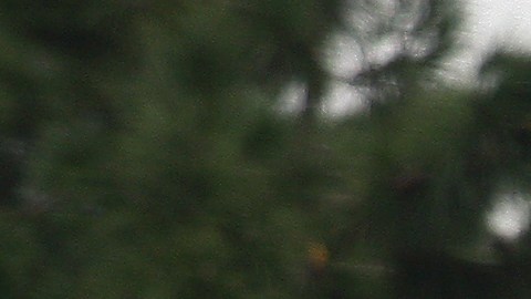 Honda Civic es de los autos más vendidos.