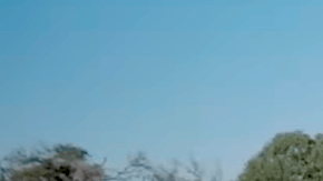 Hyundai Palisade Hybrid 2026 se vende con un precio inicial de $44,000 dólares.