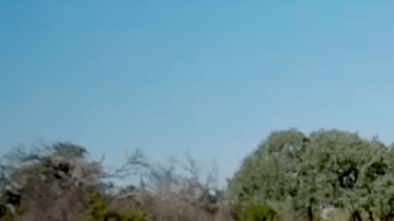 Hyundai Palisade Hybrid 2026 se vende con un precio inicial de $44,000 dólares.