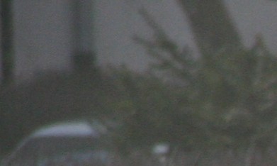 El fuego en el motor puede quemar todo el auto.