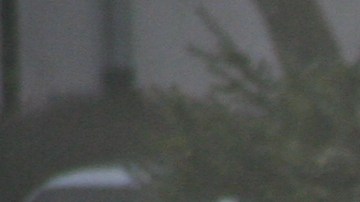 El fuego en el motor puede quemar todo el auto.