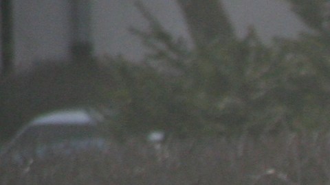 El fuego en el motor puede quemar todo el auto.