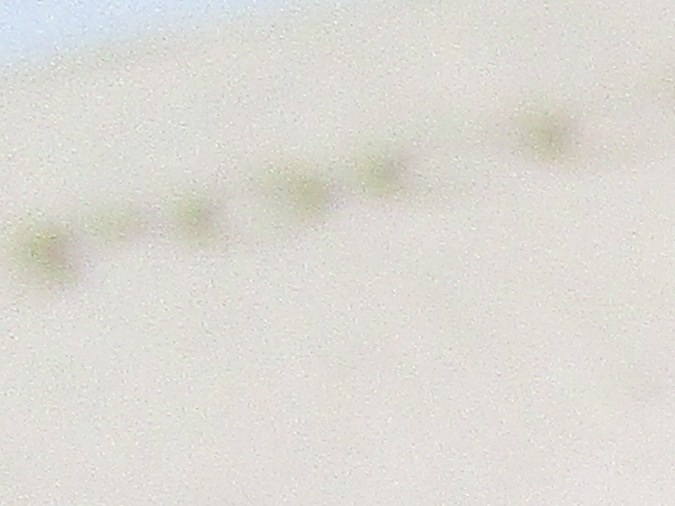 conducir en estados unidos con licencia extranjera