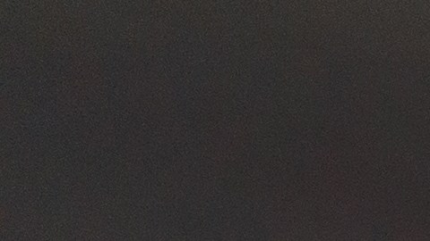 licencia temporal para extranjeros