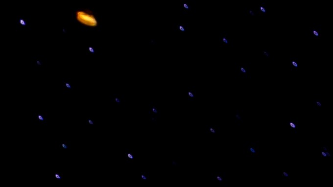 Mercedes-Benz CLK GTR Coupé se hicieron solo 20 en el mundo.