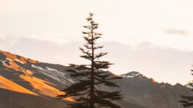 Porsche Cayenne Electric 2026 tiene un diseño moderno.