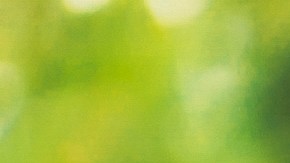 responsabilidad civil