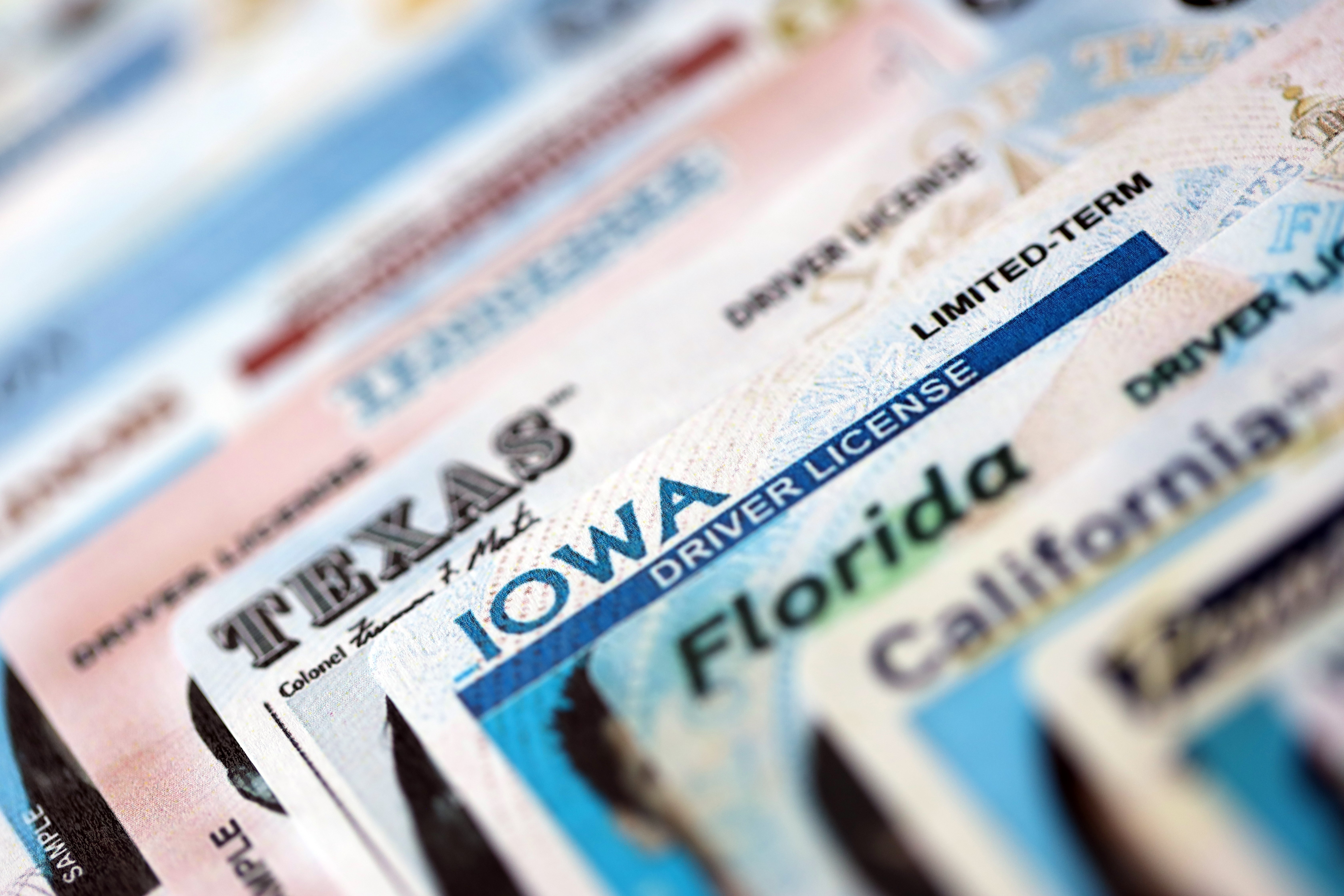 historial de manejo y estatus de la licencia