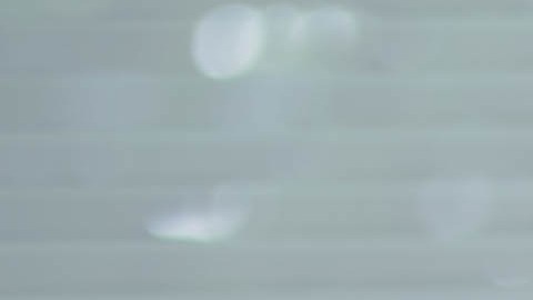 historial de manejo en renta de auto