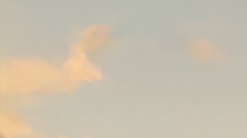 Los sedanes se han reducido en el mercado.