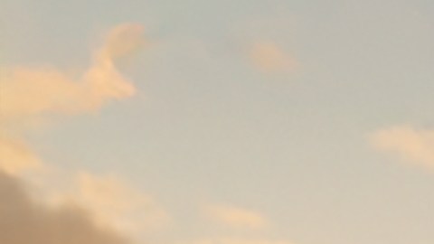 Los sedanes se han reducido en el mercado.