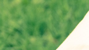 seguro para auto clásico