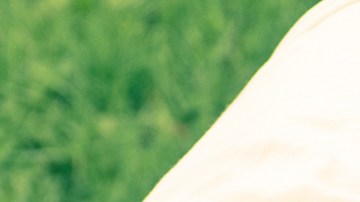 seguro para auto clásico