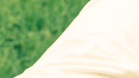 seguro para auto clásico