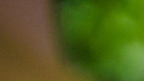 dejar el seguro porque no conduzco