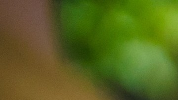 dejar el seguro porque no conduzco