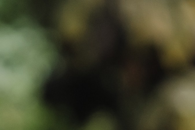 suspender el seguro de auto