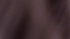 tasación presencial del auto