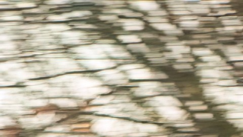 La Toyota RAV4 es una de las más vendidas de la marca.