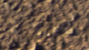 usar el auto para trabajos gig