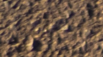 usar el auto para trabajos gig