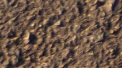 usar el auto para trabajos gig