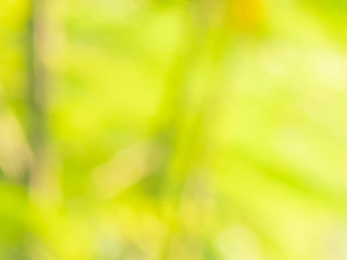 atender auto sobrecalentado