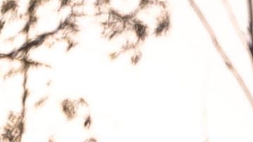 Subaru Crosstrek Hybrid 2026 de color beige en el campo