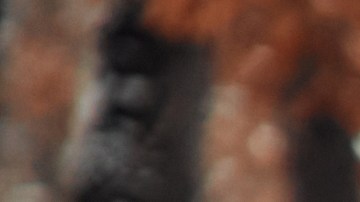 Feliz Navidad y Feliz Año Nuevo. Una familia con niños sentados en una cálida manta en el baúl de un auto con un montón de regalos alrededor, un hombre sosteniendo un árbol de Navidad con clima nevado.