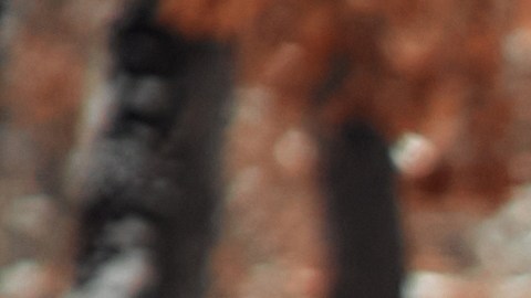 Feliz Navidad y Feliz Año Nuevo. Una familia con niños sentados en una cálida manta en el baúl de un auto con un montón de regalos alrededor, un hombre sosteniendo un árbol de Navidad con clima nevado.