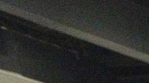 Los Ángeles, California, EE. UU., 11 de noviembre de 2025, Ford Maverick Lobo durante AutoMobility LA 2025