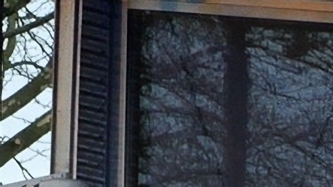 Teslas arden frente a un concesionario de coches en Ottersberg