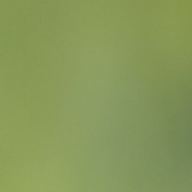 Mujer controla el flujo de aire frío desde el aire acondicionado dentro del auto.