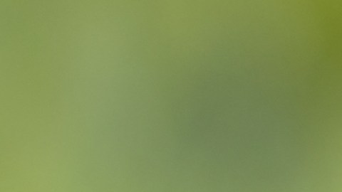 Mujer controla el flujo de aire frío desde el aire acondicionado dentro del auto.