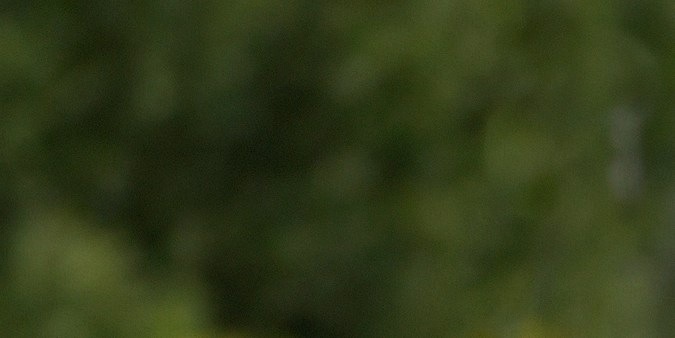 BMW M3 E46 2001 es una de las versiones más potentes.