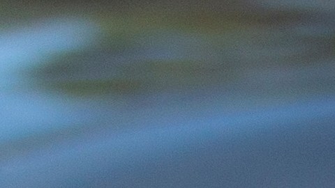 cambio licencia por trabajo